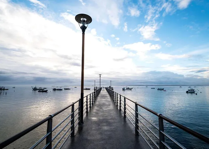 12 Pers Avec Piscine Chauffee Et Vue Exceptionnelle, Premiere Ligne Bassin D'arcachon - Fr-1-736-32 Villa